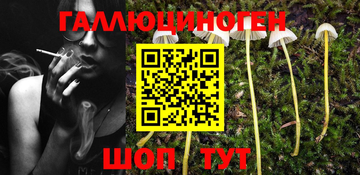 Псилоцибиновые грибы Cubensis Бутурлиновка