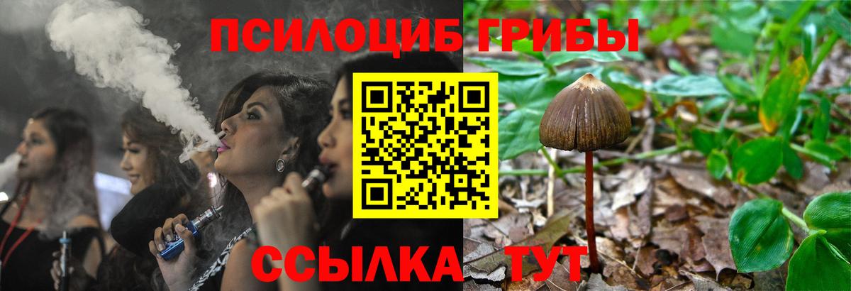 Бутурлиновка  Псилоцибиновые грибы Psilocybe  Псилоцибиновые грибы прущие грибы  Вход с VPN 